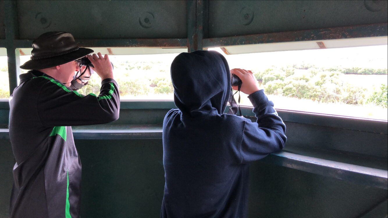 People looking out from a bird hide