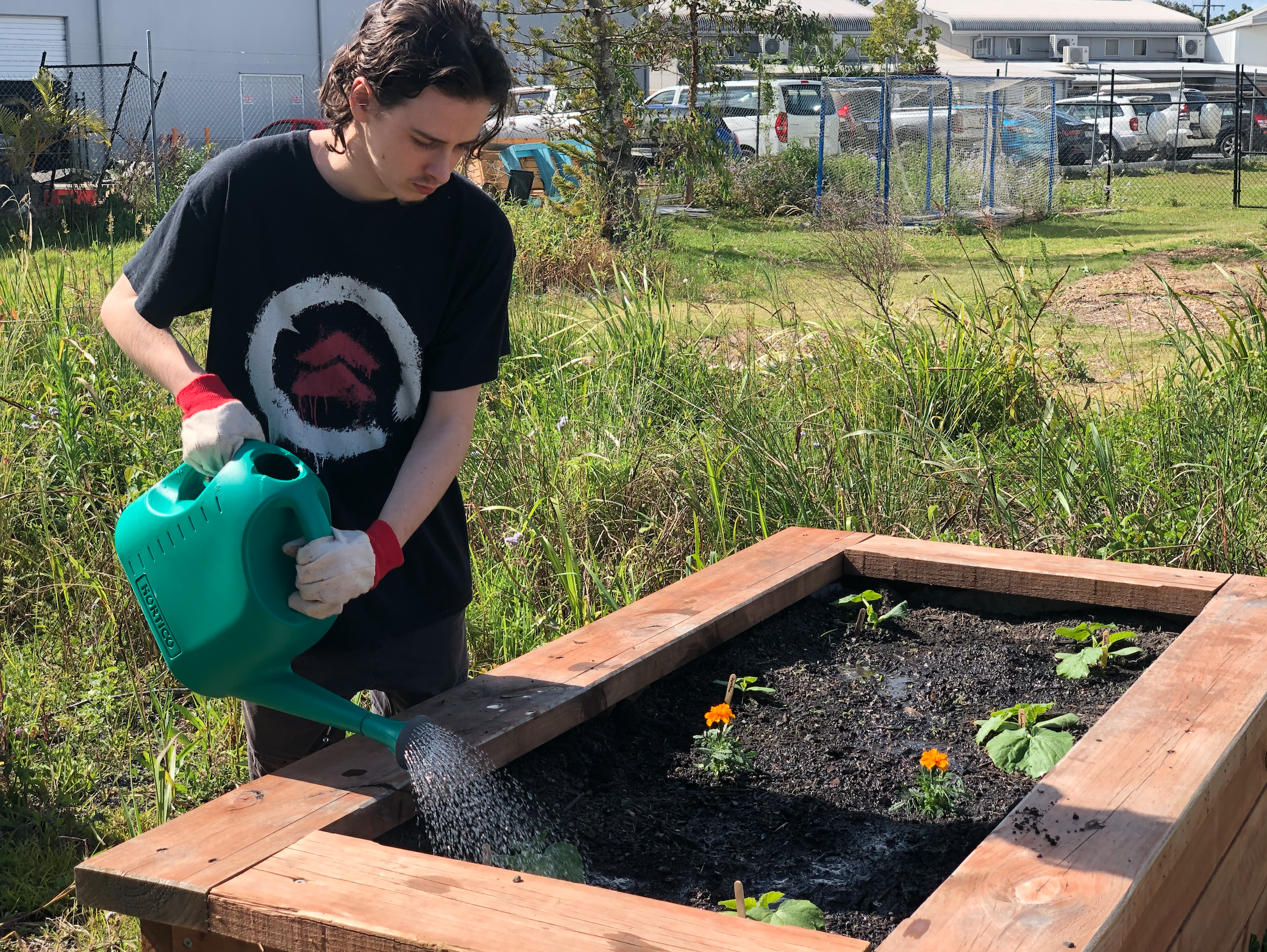 Community Gardening as part of the vocational school program with nature freedom
