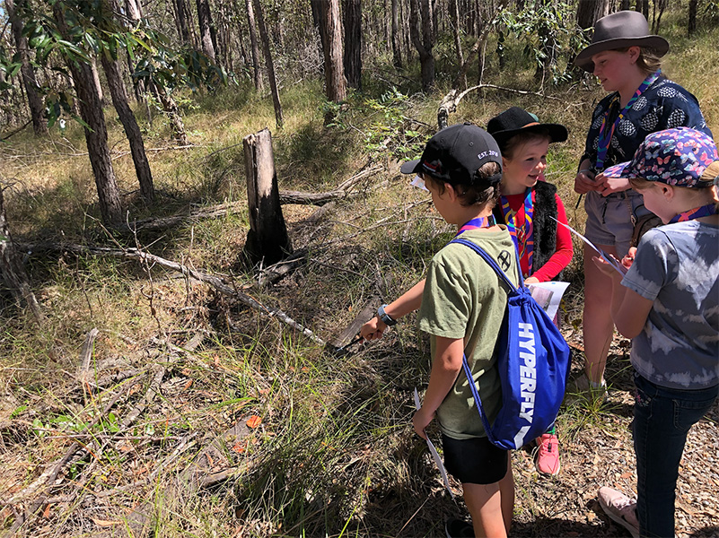 bushwalking with the vocational school program with nature freedom